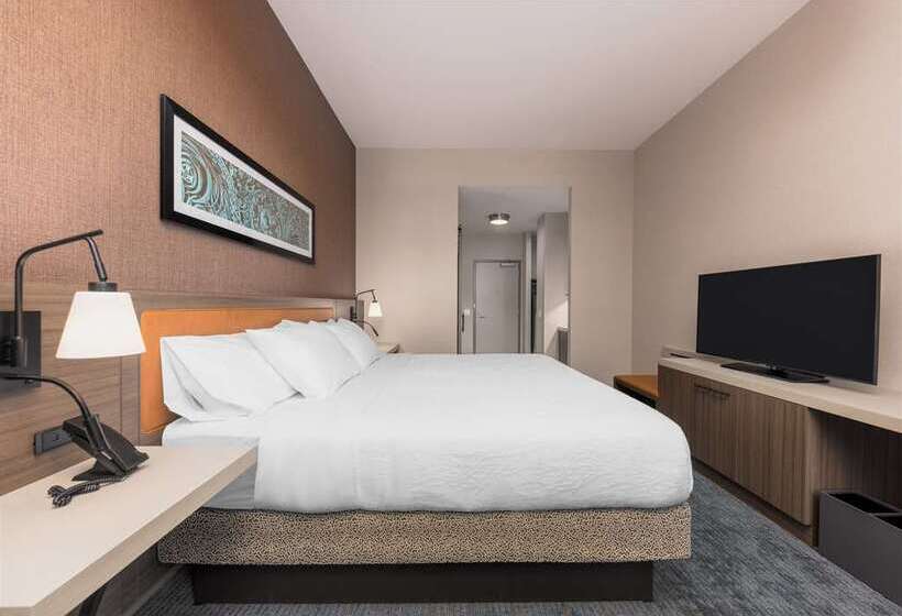 בית מלון כפרי Hilton Garden Inn Chicago Central Loop