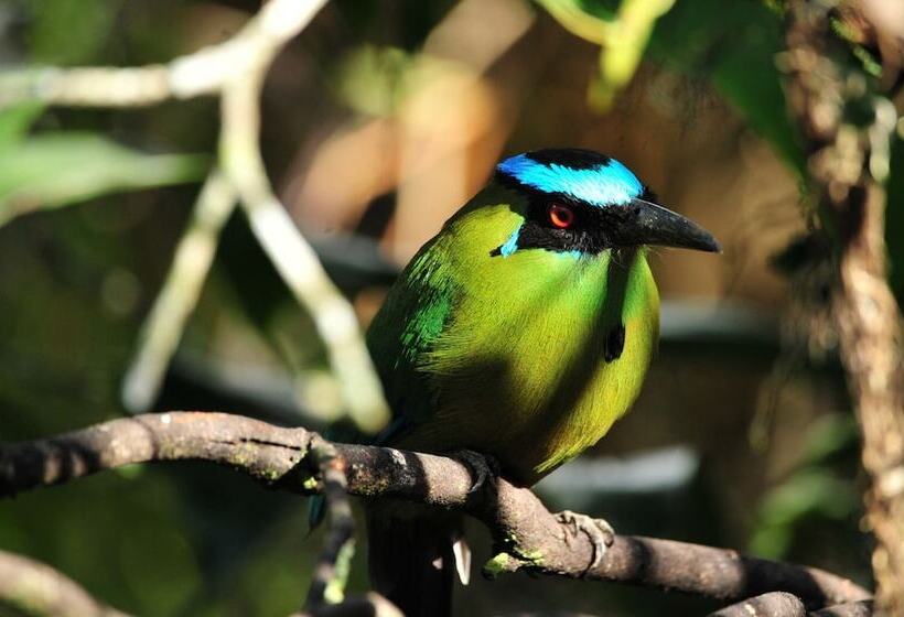 هتل Turismo Rural Palermo