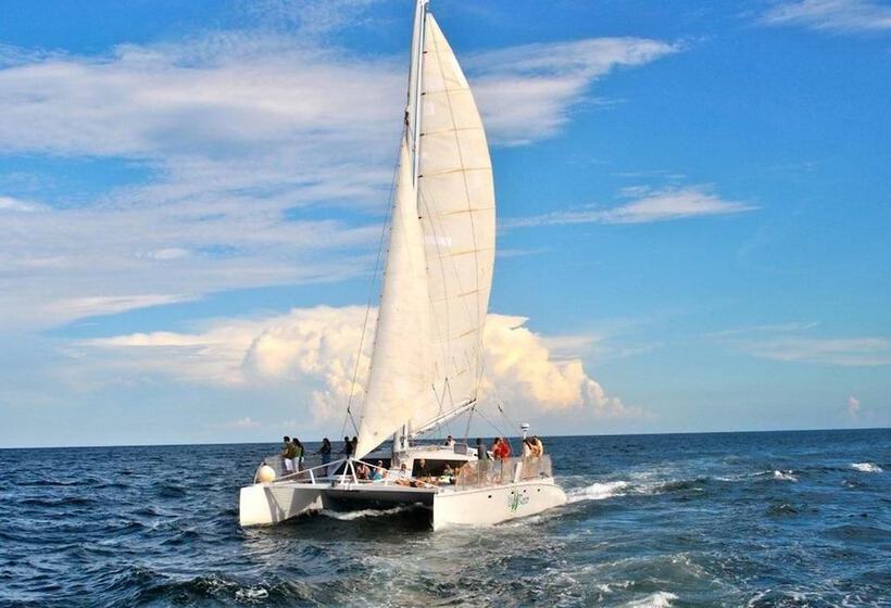 فندق Beach Club At The Boca Raton