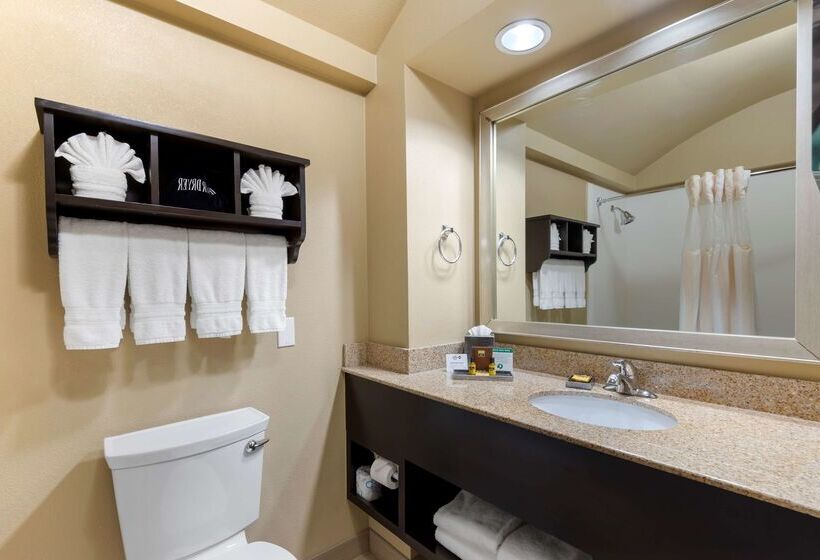 호텔 Best Western Plus Arlington North