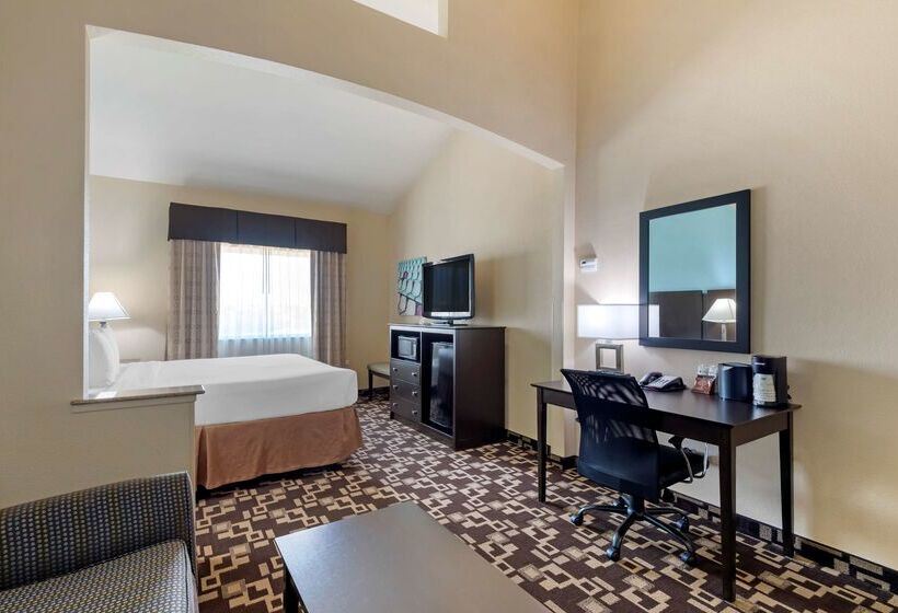 호텔 Best Western Plus Arlington North