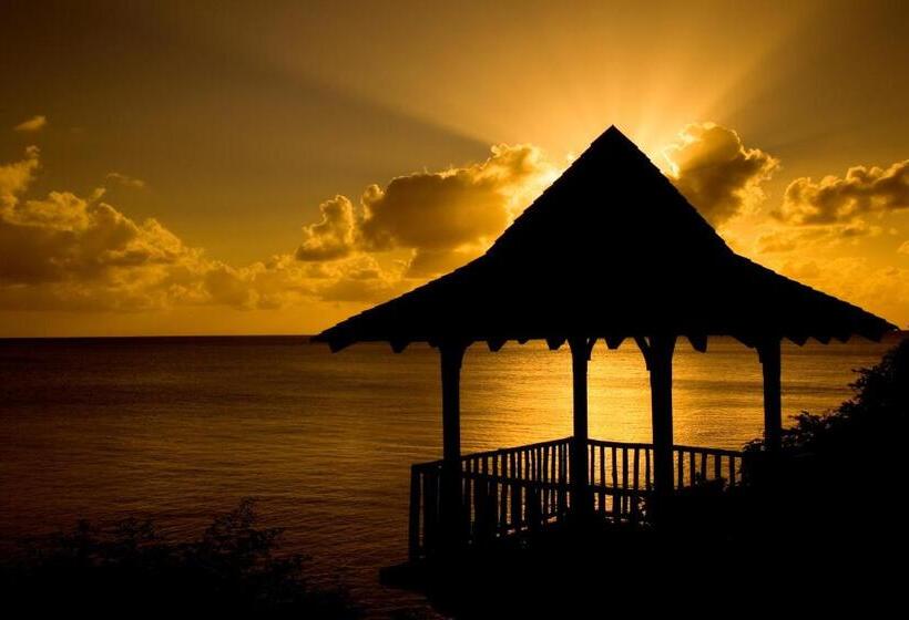 هتل Calabash Cove Resort And Spa   Adults Only