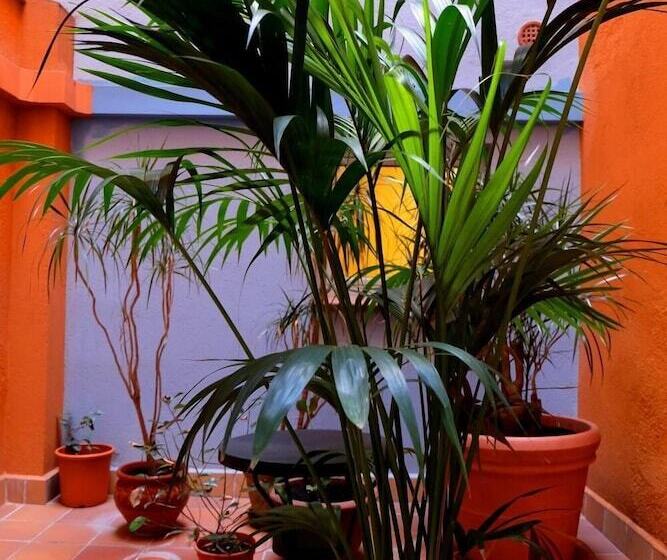 בית מלון כפרי Carmen