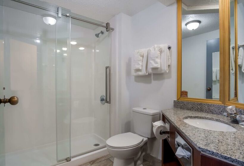 هتل Clarion Inn & Suites Airport