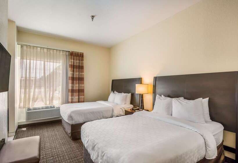 فندق Clarion Inn & Suites Central Clearwater Beach