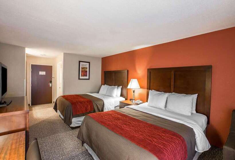 هتل Comfort Inn Near Great Smoky Mountain National Park