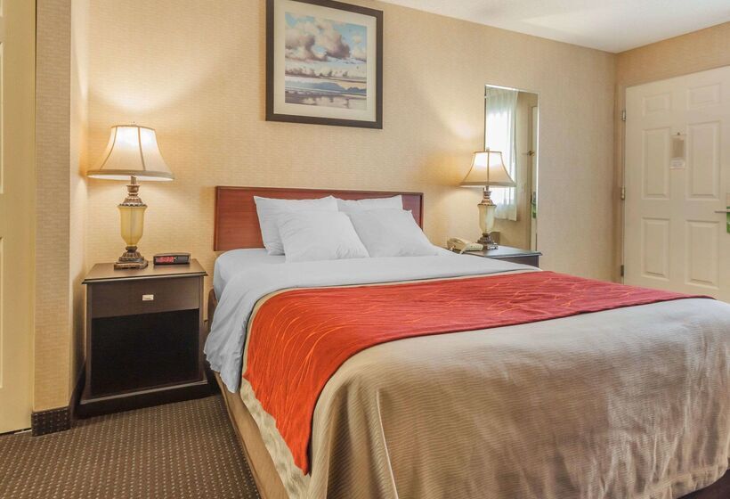 فندق Comfort Inn On The Bay