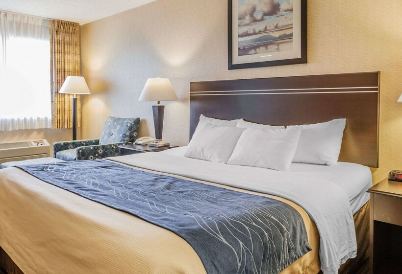 فندق Comfort Inn On The Bay