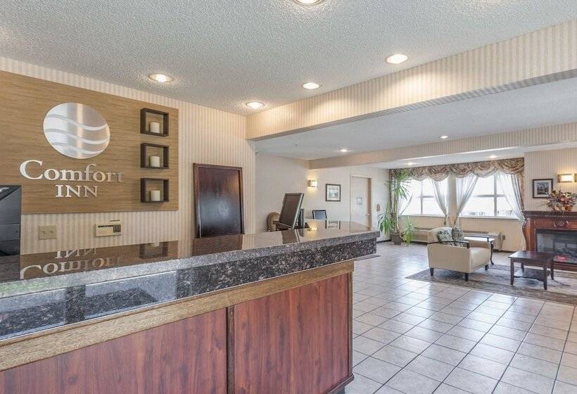 فندق Comfort Inn On The Bay