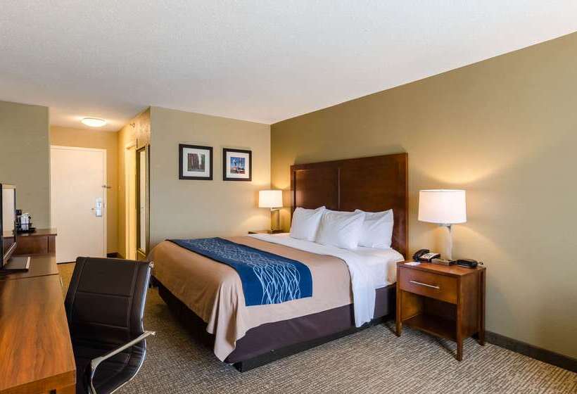 هتل Comfort Inn Randolph Boston