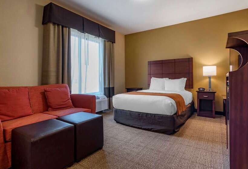 هتل Comfort Suites Airport South