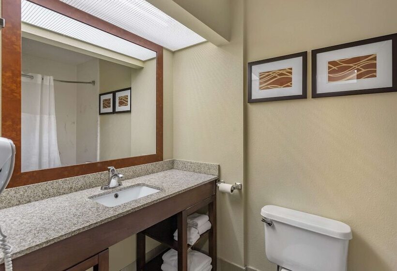 בית מלון כפרי Comfort Suites At Rivergate Mall