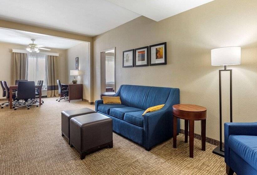 בית מלון כפרי Comfort Suites At Rivergate Mall