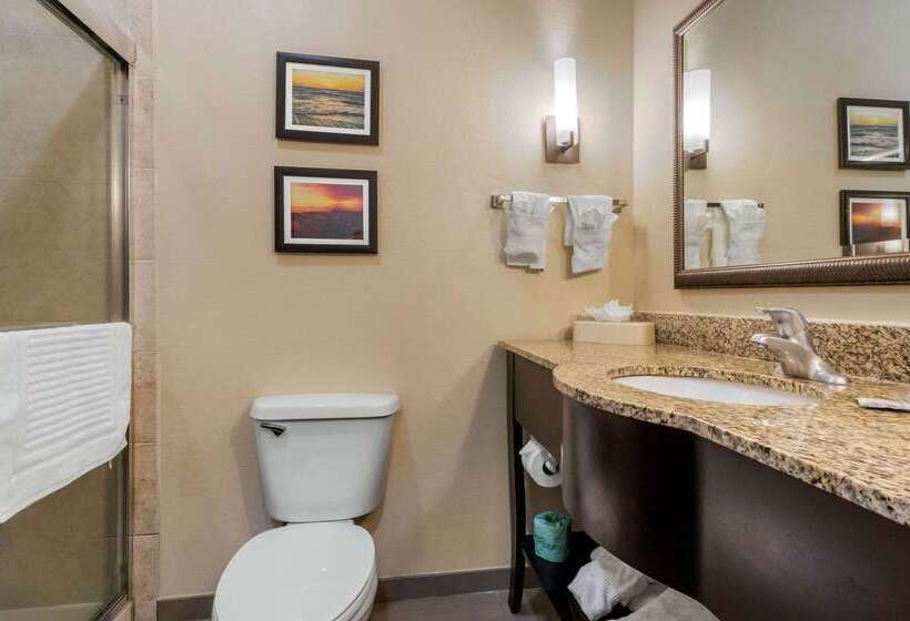 هتل Comfort Suites Central