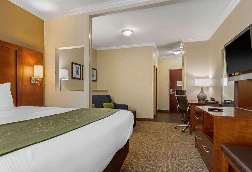 هتل Comfort Suites Central