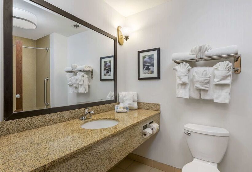 هتل Comfort Suites Conference Center Rapid City