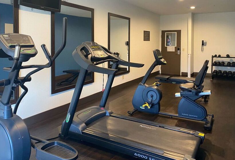 هتل Comfort Suites Peoria I 74