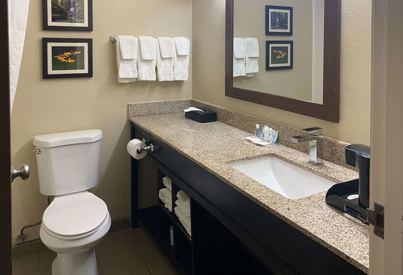 هتل Comfort Suites Peoria I 74