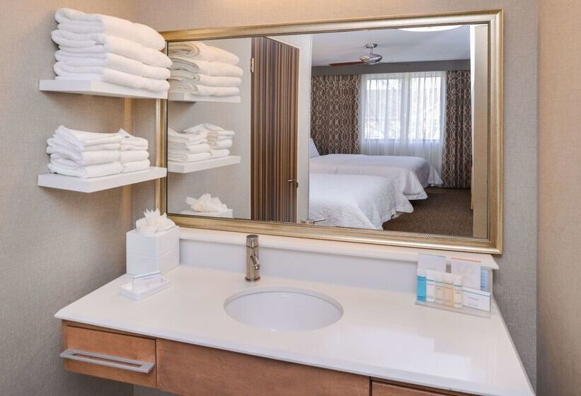 هتل Hampton Inn & Suites Denverspeer Boulevard