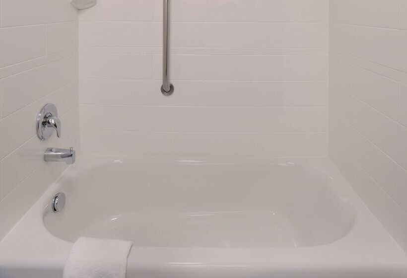 هتل Hampton Inn & Suites Denverspeer Boulevard