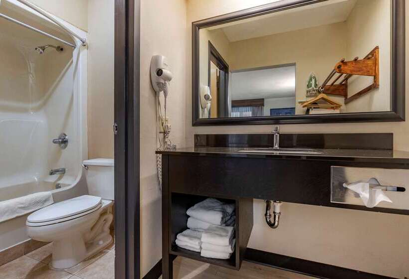 هتل Quality Inn & Suites Ft. Jackson Maingate