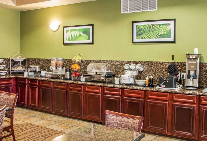 酒店 Sleep Inn & Suites At Six Flags