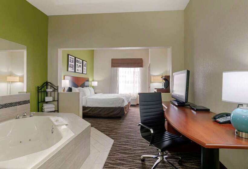 هتل Sleep Inn & Suites Montgomery East I85