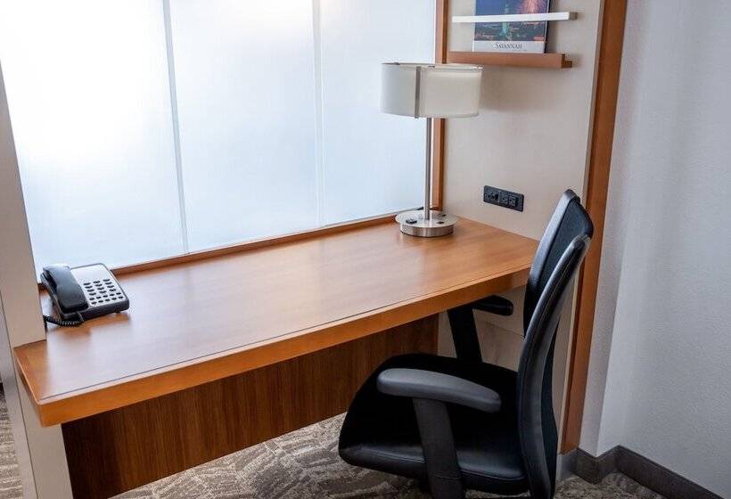 هتل Springhill Suites By Marriott Savannah Downtown Historic District