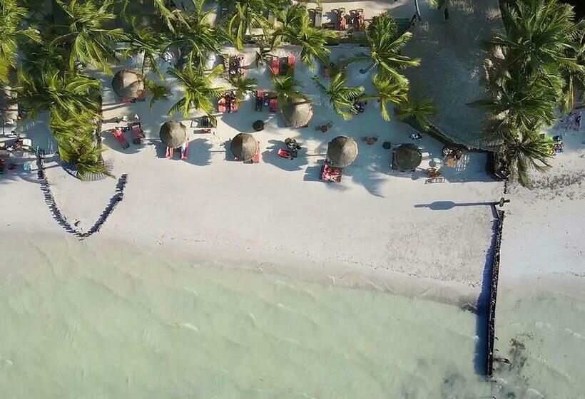 Beachfront Hotel La Palapa   Adults Only
