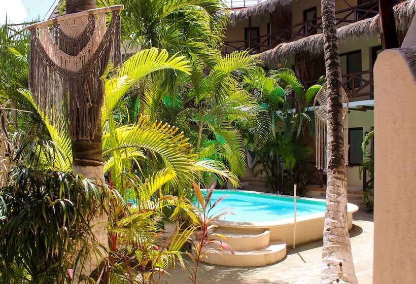 هتل Holbox Dream Beachfront