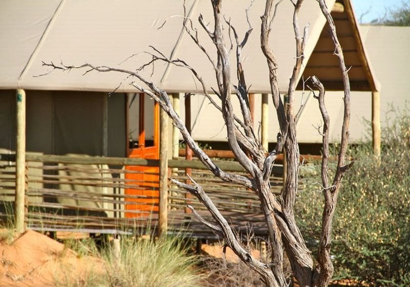 酒店 Suricate Tented Kalahari Lodge