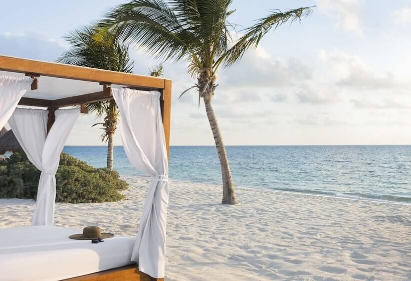 אתר נופש Excellence Playa Mujeres  All Inclusive  Adults Only