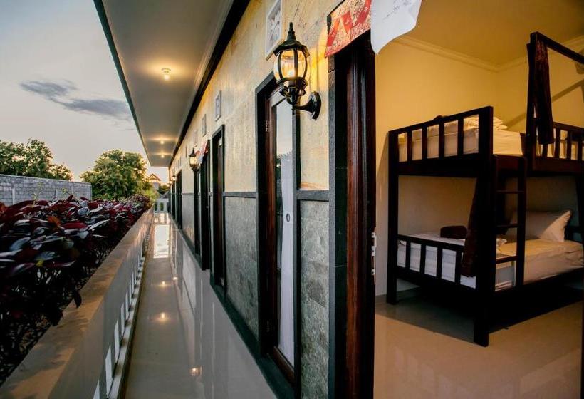 L Degus Hostel
