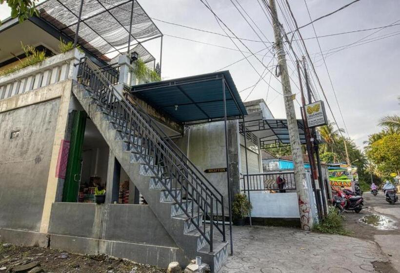 L Degus Hostel