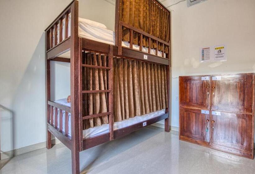 L Degus Hostel