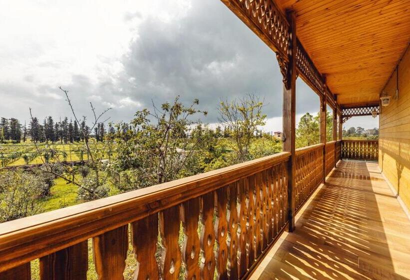 هتل Chateau Kvirike