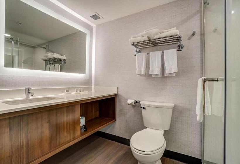 هتل Holiday Inn Gatineau   Ottawa, An Ihg