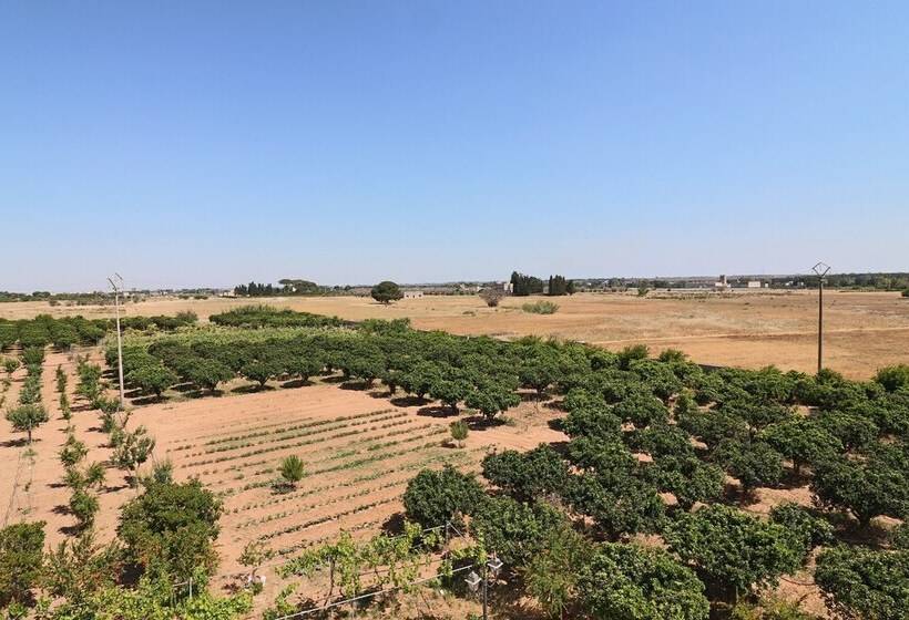 پانسیون B B With Swimming Pool Tenuta Agrumi Del Salento Triple Deluxe Citrus Attic