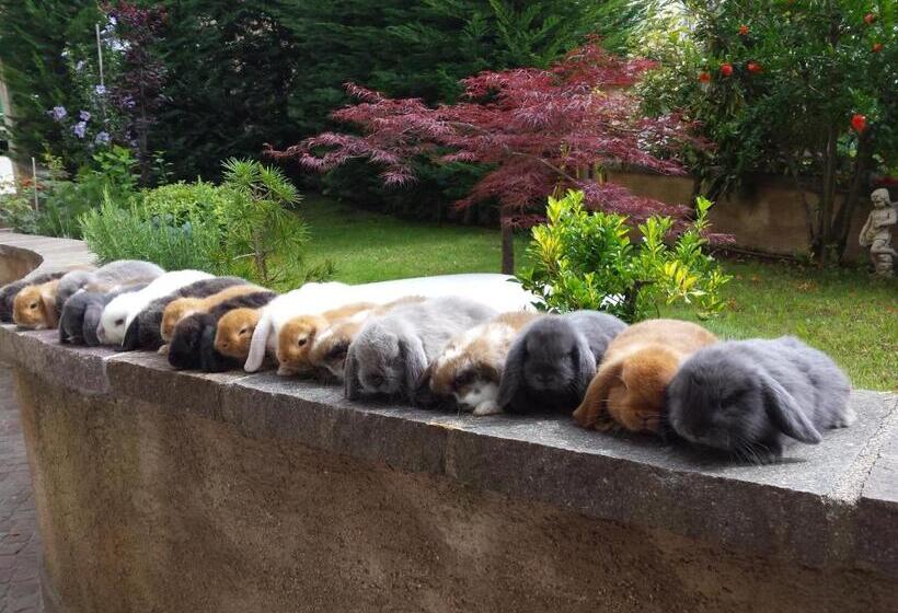 فندق Agritur Casa Fabri