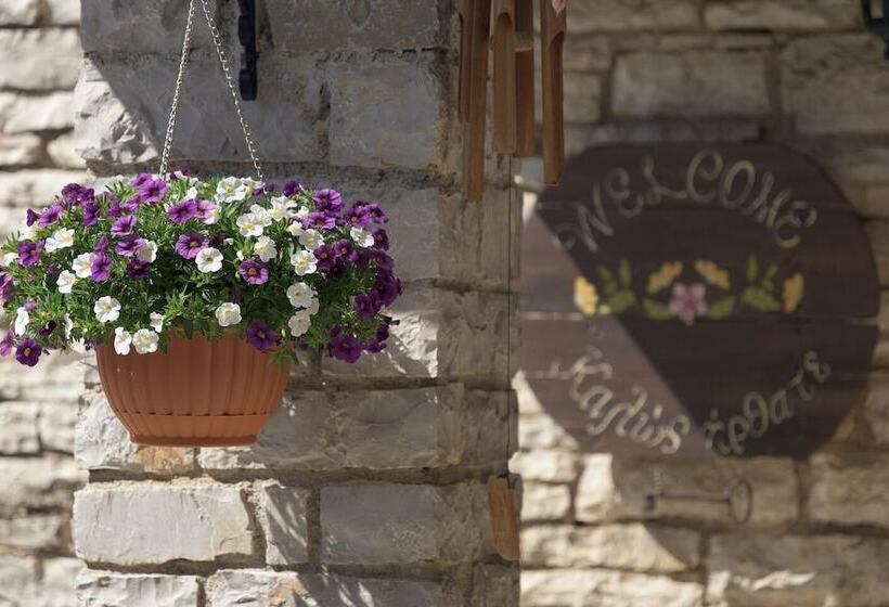 هتل Ameliko Zagori