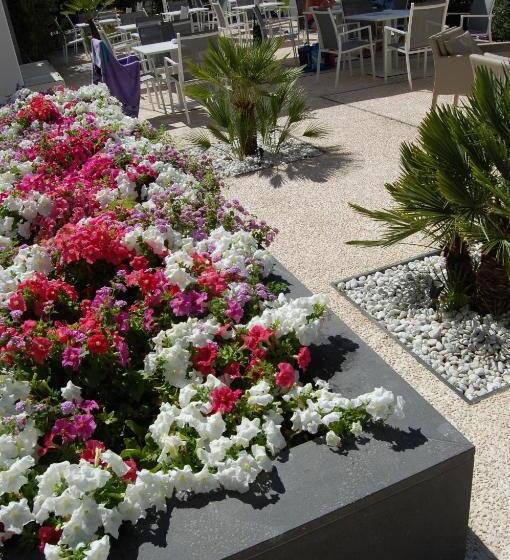 فندق Nettuno