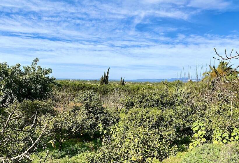 فندق ريفى Son Terrassa