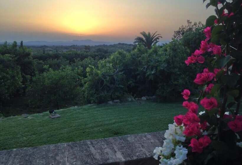 فندق ريفى Son Terrassa