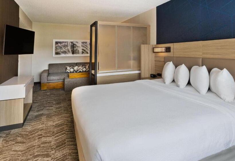 هتل Springhill Suites Birmingham Colonnade
