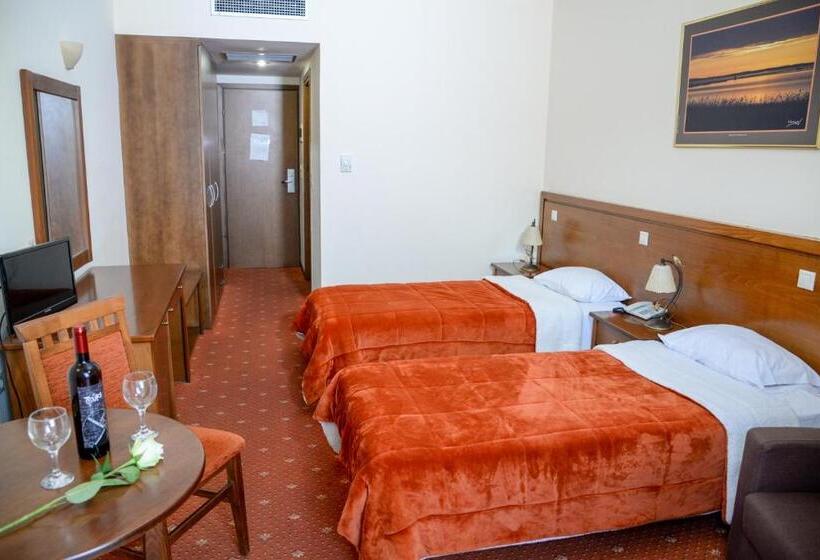 בית מלון כפרי Arta Palace