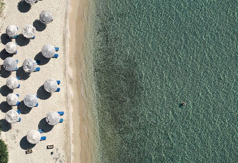 בית מלון כפרי Glavas Inn