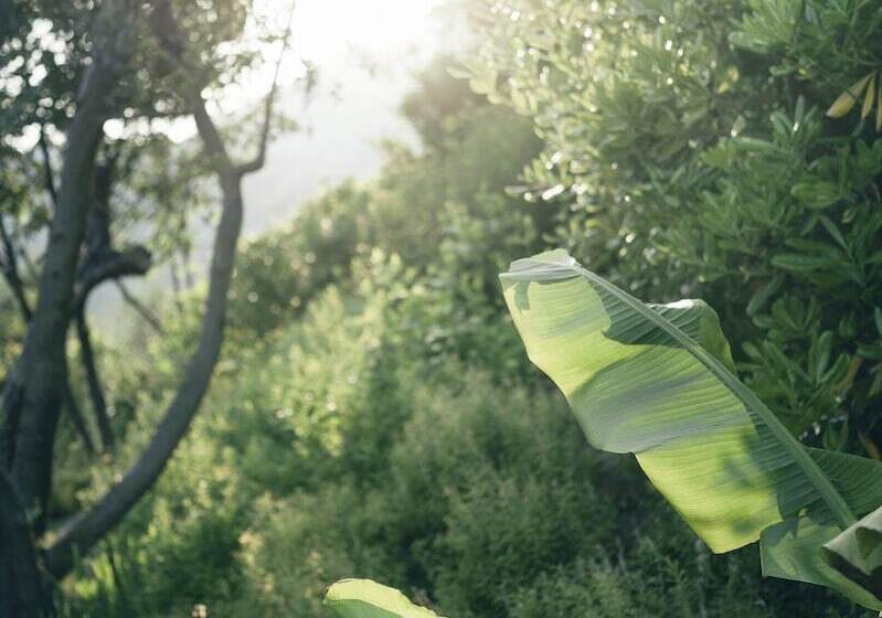 فندق Lefay Resort & Spa Lago Di Garda