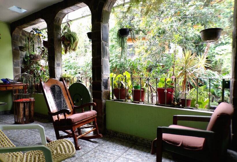 مسافرخانه Posada Inkali Xilitla