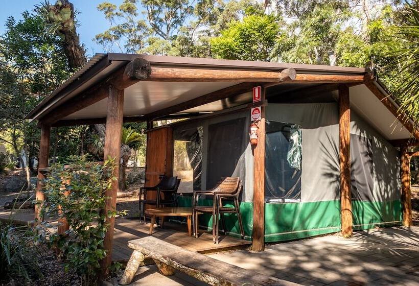 בית מלון כפרי Binna Burra Rainforest Campsite