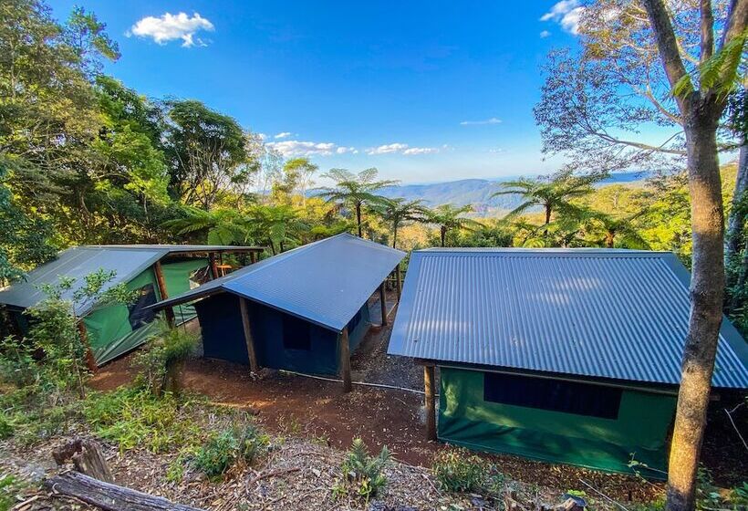 בית מלון כפרי Binna Burra Rainforest Campsite